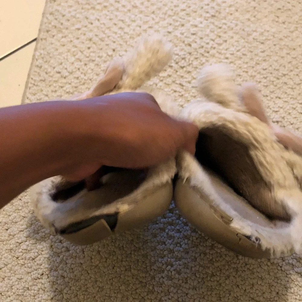 Worn house slippers